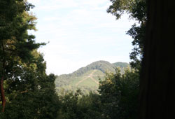 ��ʸ����